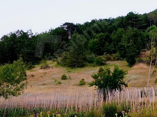 Pamukova, Sakarya içerisinde satılık Arsa