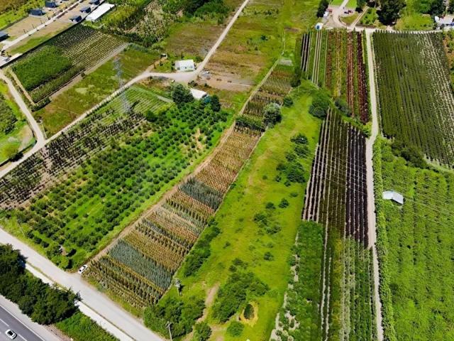 Sapanca, Sakarya içerisinde satılık Arsa