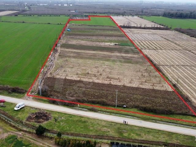 Çarşamba, Samsun içerisinde satılık Arsa