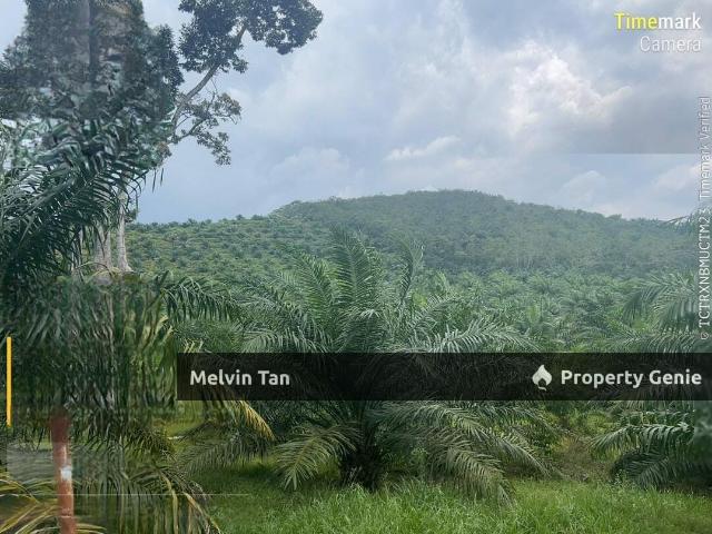 Property for sale in Rembau, Negeri Sembilan