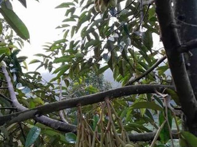 Shop for sale in Rembau, Negeri Sembilan