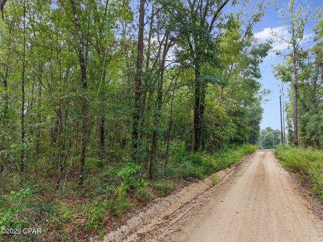 Land for sale in Bonifay, Holmes County