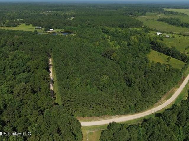 Land for sale in Poplarville, Mississippi