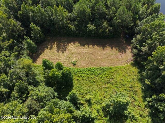 Land for sale in Poplarville, Mississippi