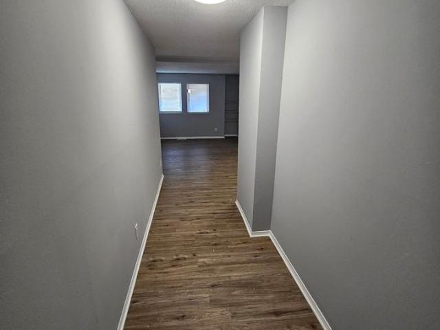 Apartment for rent in Urbana, Illinois