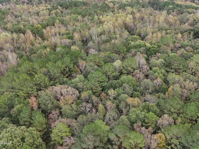 Land for sale in Carthage, Mississippi