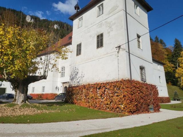 Immobilie kaufen in Stainach, Steiermark