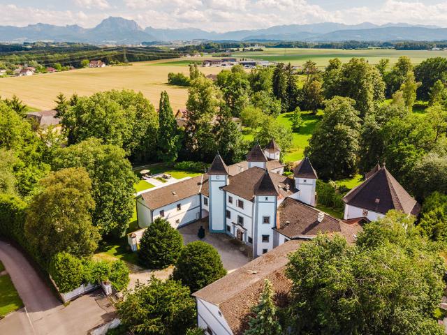 Haus kaufen in Desselbrunn, Oberösterreich