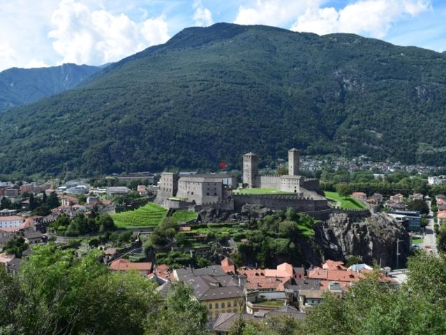 Einfamilienhaus kaufen in Arbedo, Arbedo-Castione