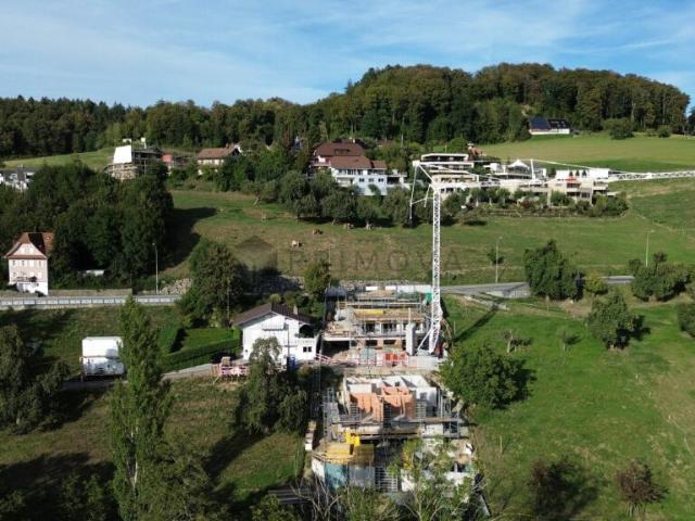 Mehrfamilienhaus kaufen in Lü