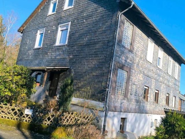 Haus kaufen in Frankenthal, Wissen