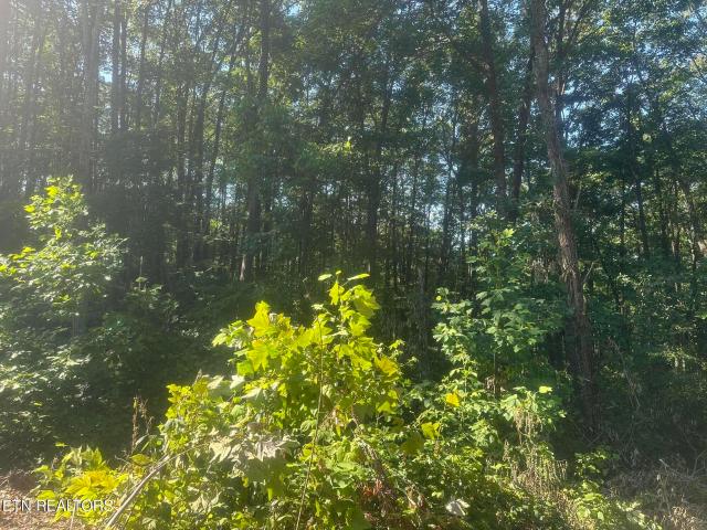 Land for sale in Tennessee