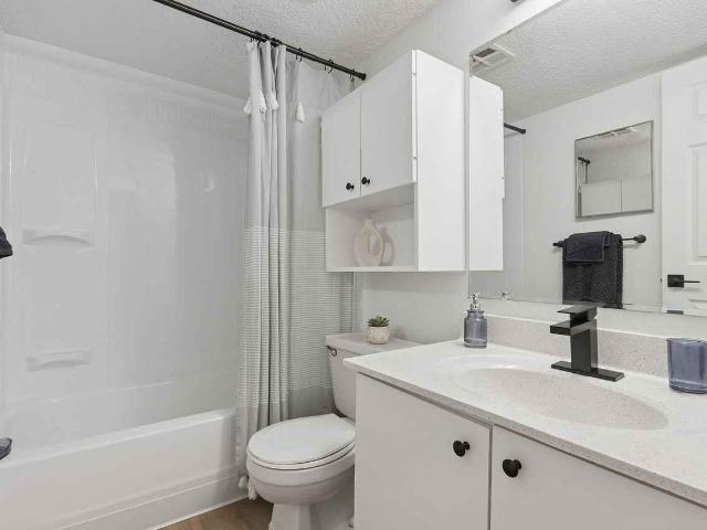 Apartment for rent in Saint Louis, Missouri