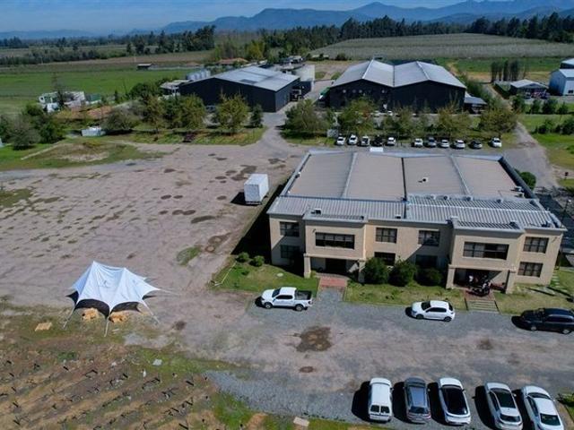 Rengo, Los Choapinos Rengo