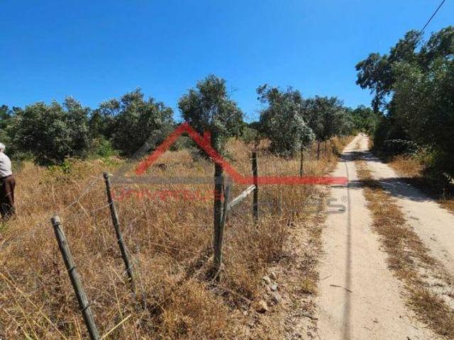 Terreno venda em Mora, Évora