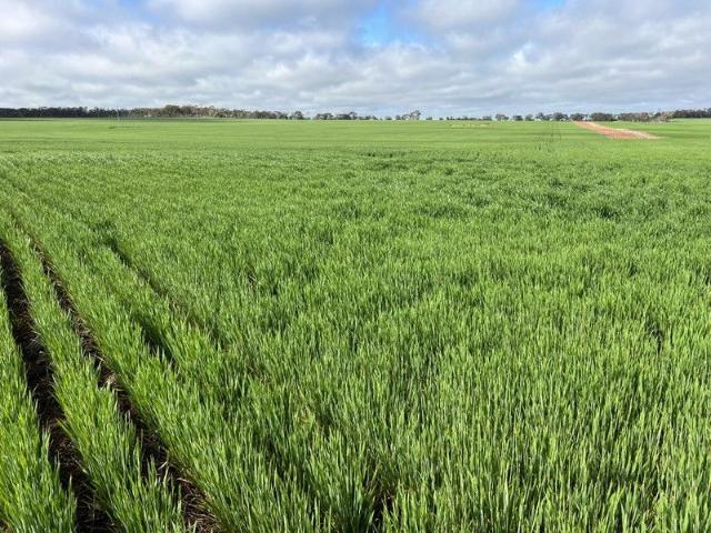 Property for sale in Dangin, Western Australia