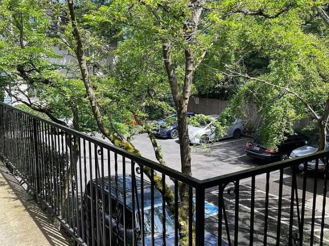 Apartment for rent in Seattle, Washington