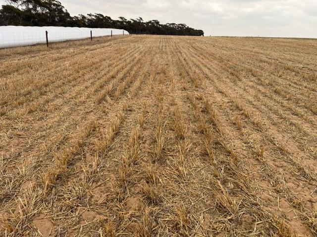 Property for sale in Karoonda, South Australia