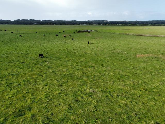 Property for sale in Beachport, South Australia