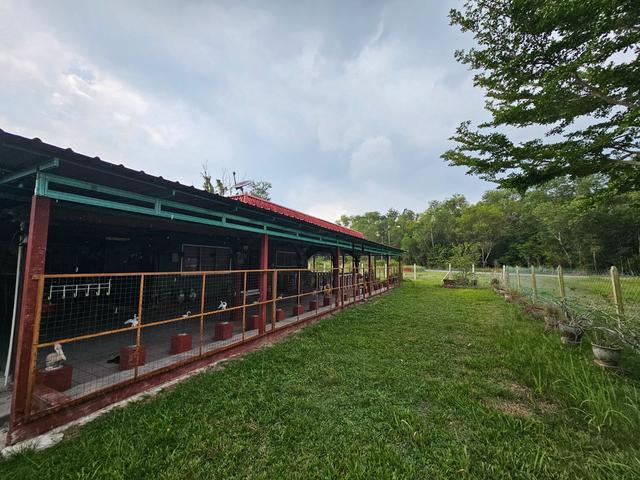 Bungalow for sale in Perak