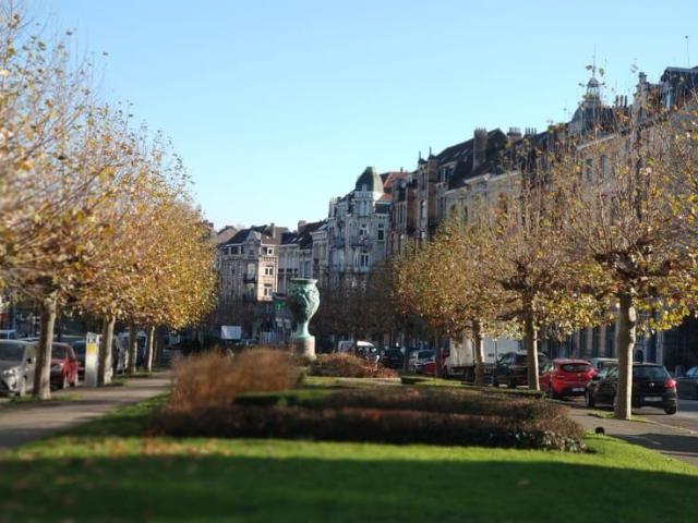 Kot location à Schaarbeek, Bruxelles