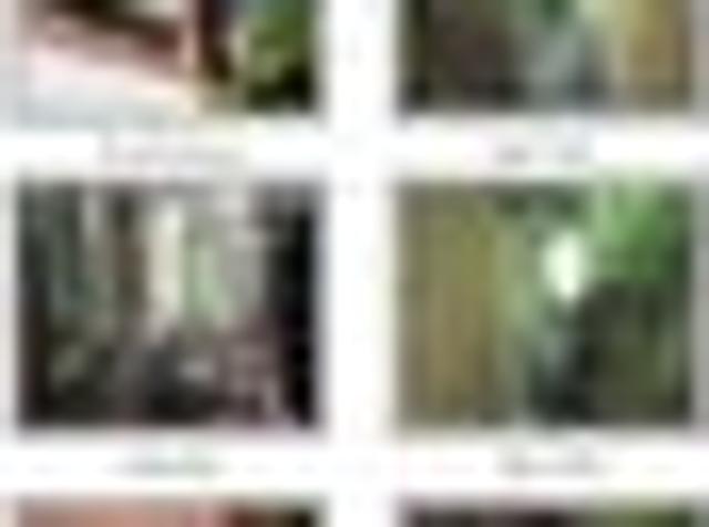 House for sale in Otakou