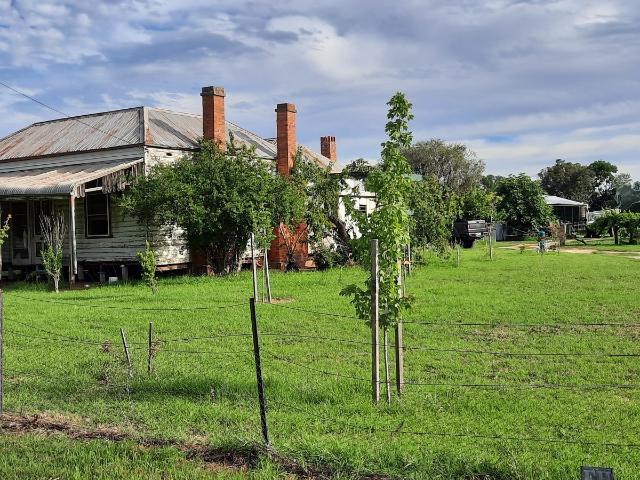 House for sale in Howlong, New South Wales