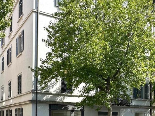Apartment mieten in Enge, Zürich