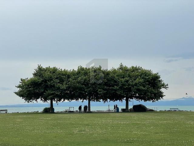 Apartment mieten in Romanshorn, Thurgau