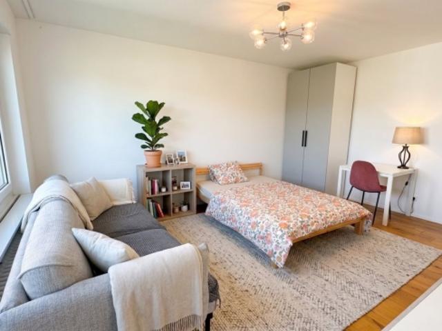 Attikawohnung kaufen in Dübendorf, Zürich