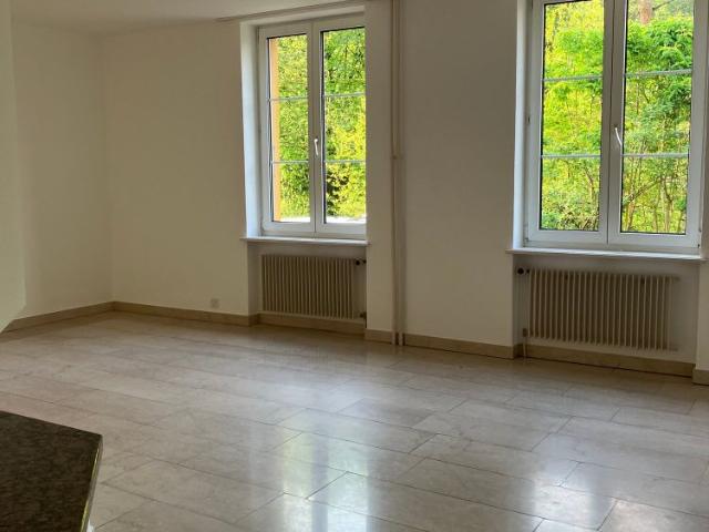 Apartment mieten in Nenzlingen, Bezirk Laufen