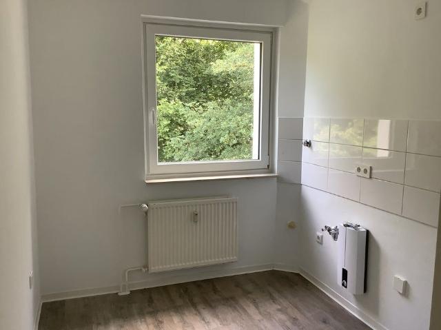 Apartment mieten in Düsternort, Delmenhorst