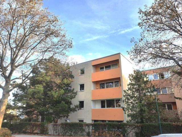 Apartment mieten in Maria Enzersdorf, Niederösterreich