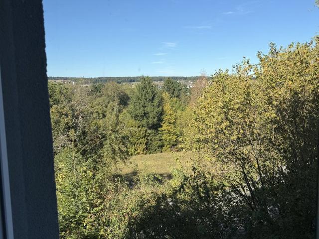 Wohnung mieten in Altensteig, Baden-Württemberg