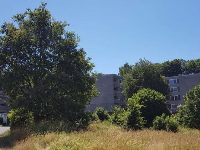 Wohnung mieten in Waldbröl