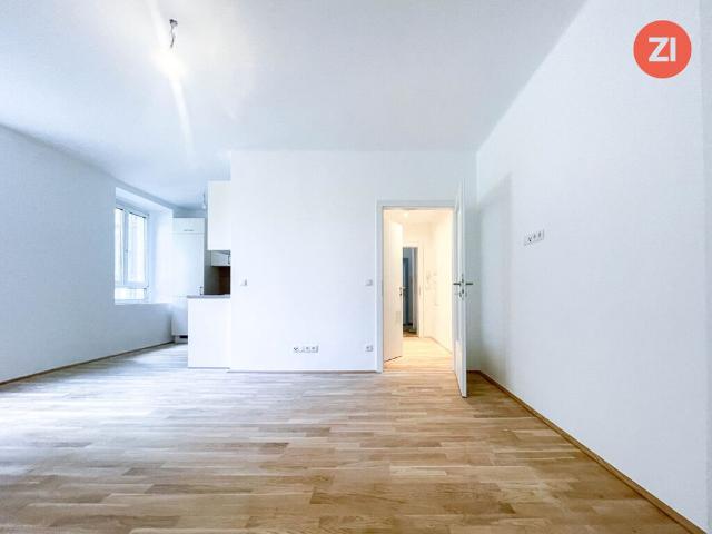 Apartment mieten in Altstadtviertel, Linz