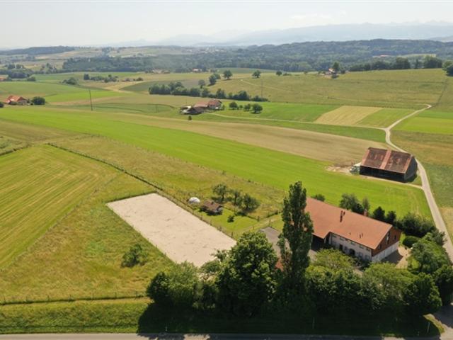 Bauernhaus kaufen in Torny-le-Grand, Freiburg
