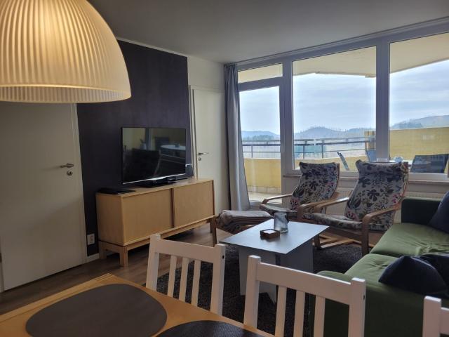 Wohnung kaufen in Hohegeiß, Braunlage
