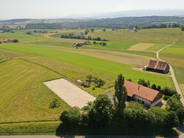 Landwirtschaft kaufen in Torny-le-Grand, Freiburg