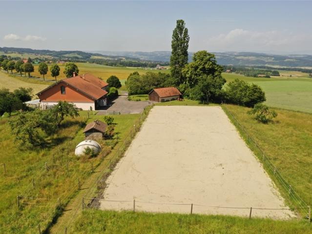 Immobilie kaufen in Middes, Freiburg