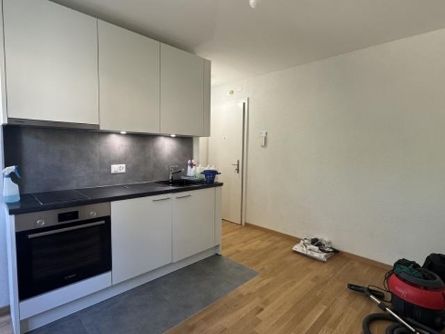 Wohnung mieten in Vevey, Waadt