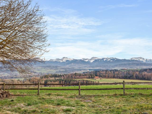 Reihenfamilienhaus kaufen in Essertes, Waadt