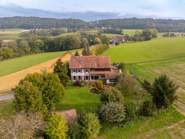 Reihenfamilienhaus kaufen in Payerne, Waadt