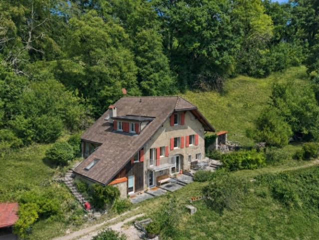 Haus kaufen in Chardonne, Waadt