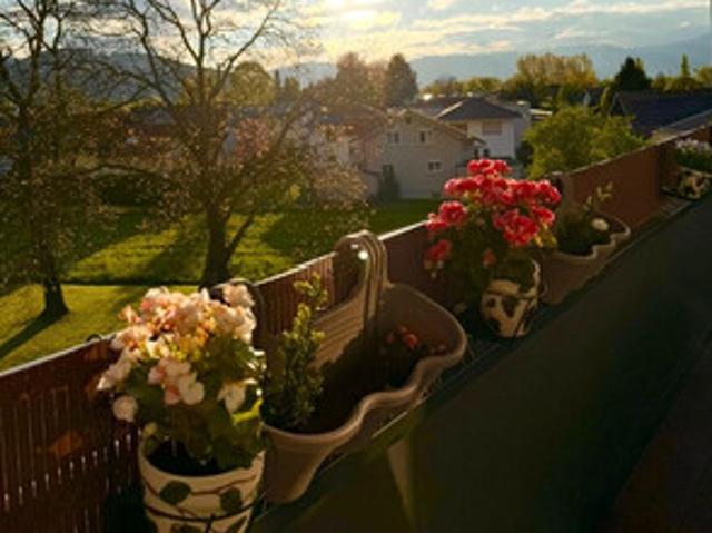 Apartment kaufen in Götzis, Vorarlberg