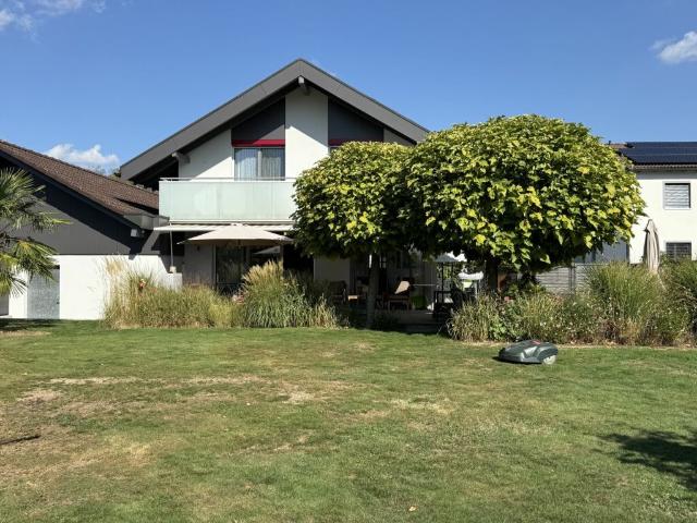 Einfamilienhaus kaufen in Buchs (AG), Bezirk Aarau