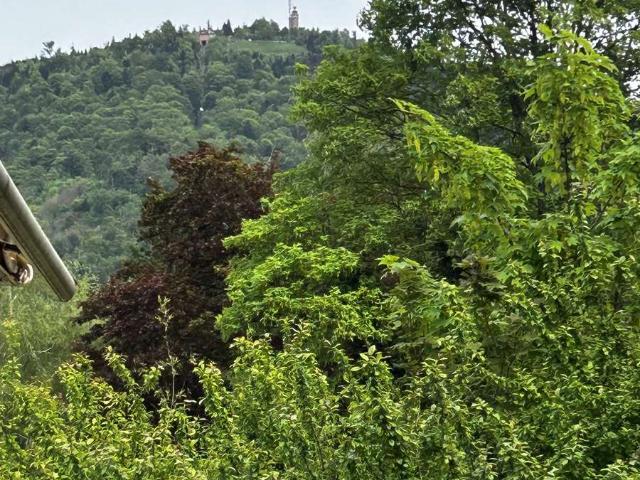 Wohnung kaufen in Baden-Baden