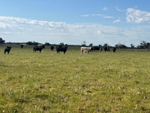 Acreage for sale in Field, Coorong District Council