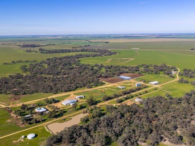 Cottage for sale in Deniliquin, New South Wales