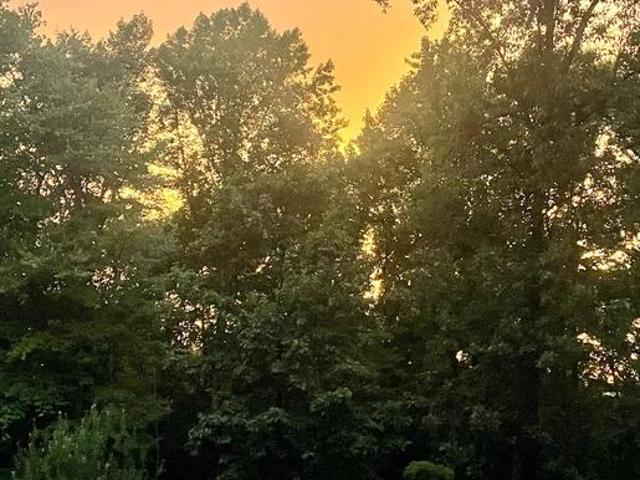 Land for sale in Ijamsville, Maryland